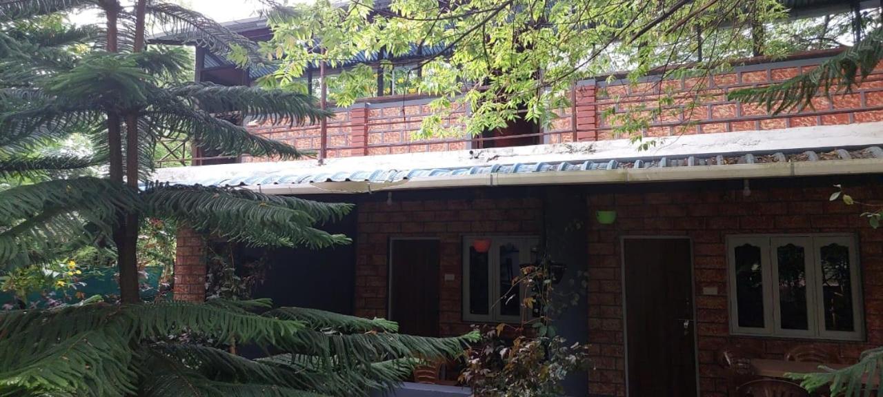 Green Hills Farm And Guest House Masinagudi Quarto foto